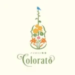 バイオリン・チェロ教室 Colorato(コロラート)